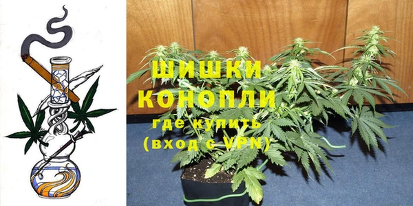 героин Покачи