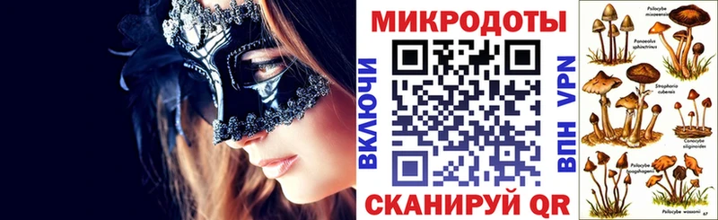 Галлюциногенные грибы Cubensis  Агрыз 
